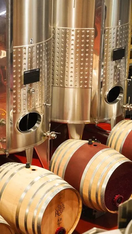 Cuves inox et barriques de vieillissement, cave du domaine Clos des Roses